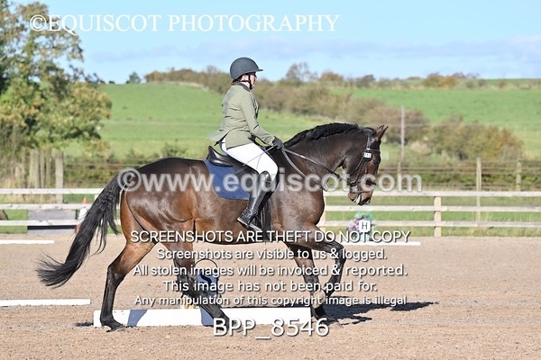 BPP_8546 - LONG ARENA