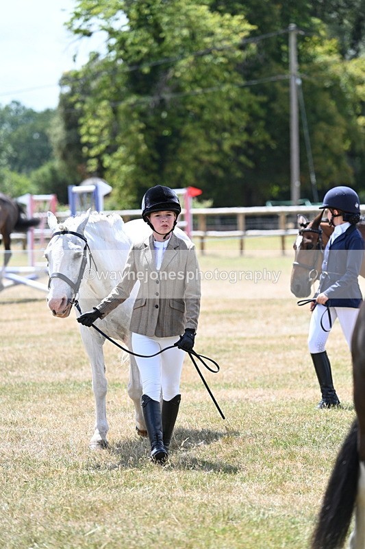 WJ7_2150 - Class 5 Most Handsome Gelding (up to 14.2hh) in hand