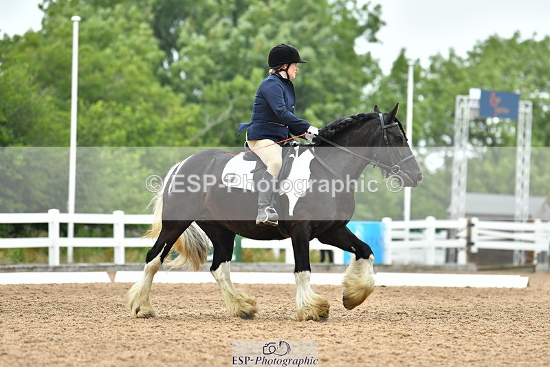 230708A-105153-02428 - Prelim 13