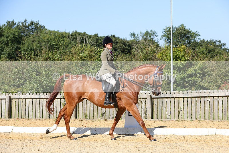 1X9A7884 - Class 10:Riding Horse