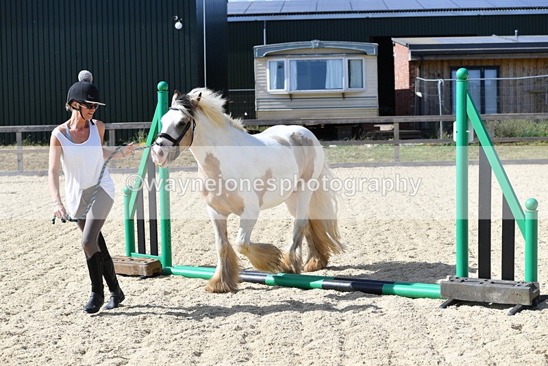 WJ5_5456 - Poles on the Floor