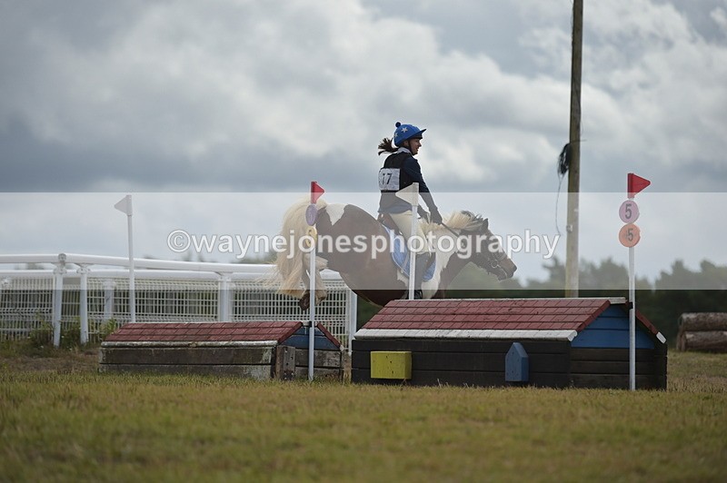 NGP_1342 - XC Time 10:38 to 10:51