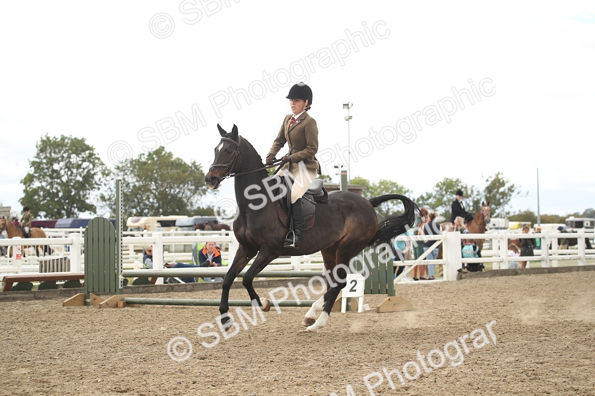 SBM_16746 - Class 507b - Working Veteran 60cm (20+)