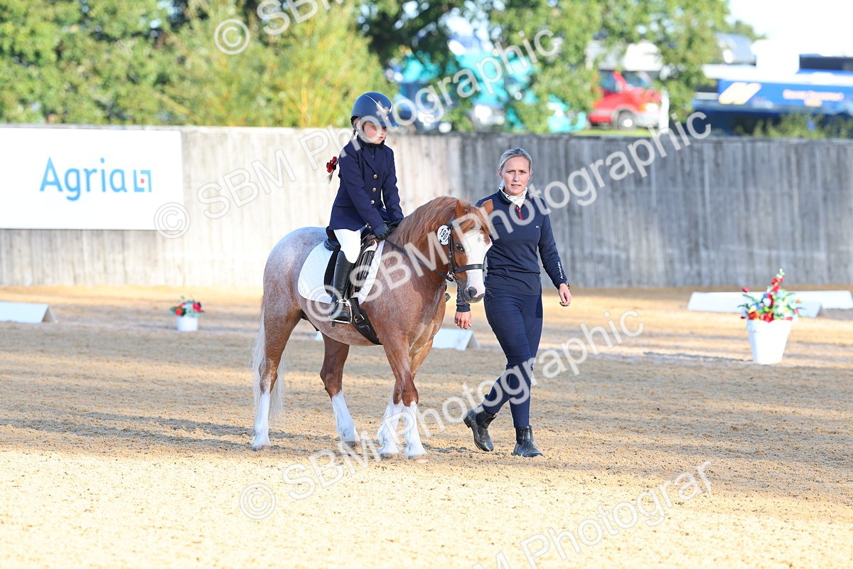 SBM_33490 - D26 - Test Starter Test 1