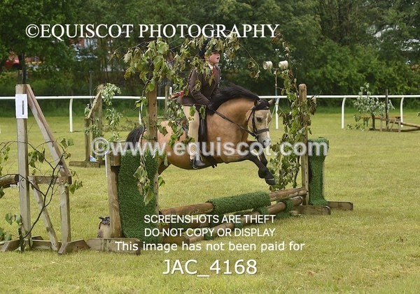 JAC_4168 - 30CM WORKING HUNTER