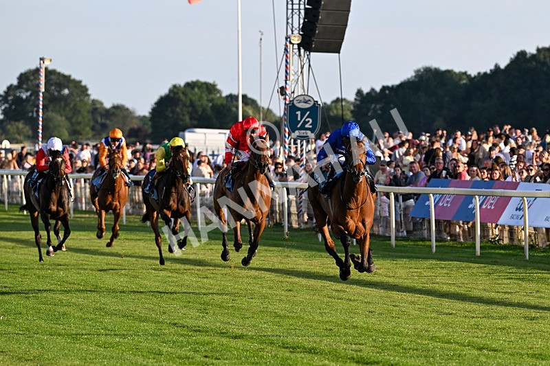 240726-Race 5-Diamond Rain-5465 - Race 5 19.50pm British EBF Lyric Fillies' Stakes