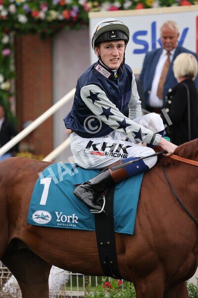 yr22072022r4-3 - Race 4 6.50pm The IRE Incentive It Pays To Buy Irish EBF Restricted Novice Stakes