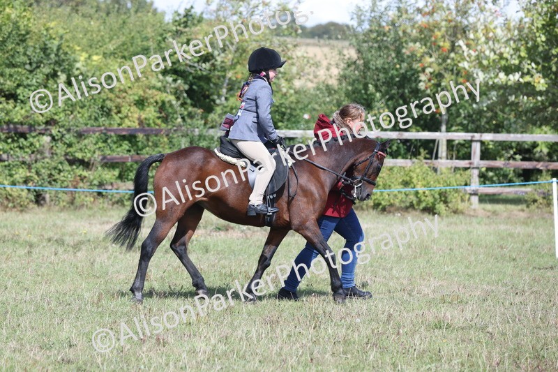 20250831-2622 - Class 17 - Lead Rein Pony