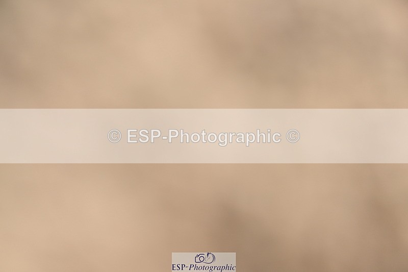 240514A-162738-00045 - 70cm