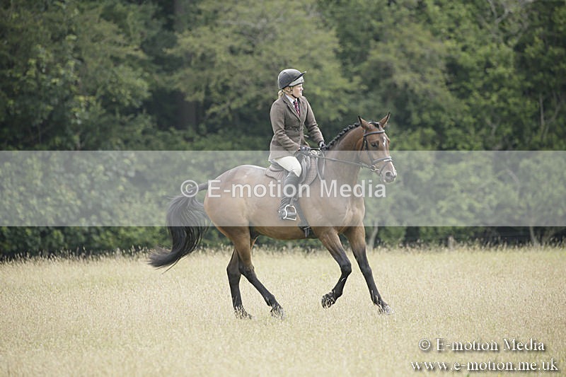 B230619-0420 - Bourne Valley Riding Club Summer Show 23/06/19