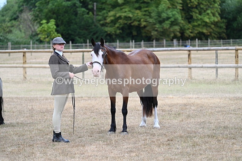 WJ7_8204 - Class 4 Prettiest Mare up to 14.2hh