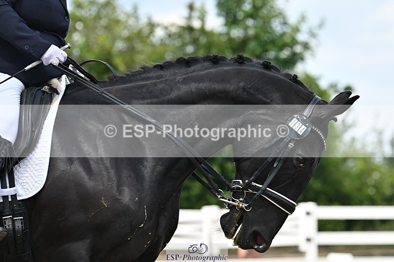 240621A-121030-02061 - Cls 7 BD Elementary 45