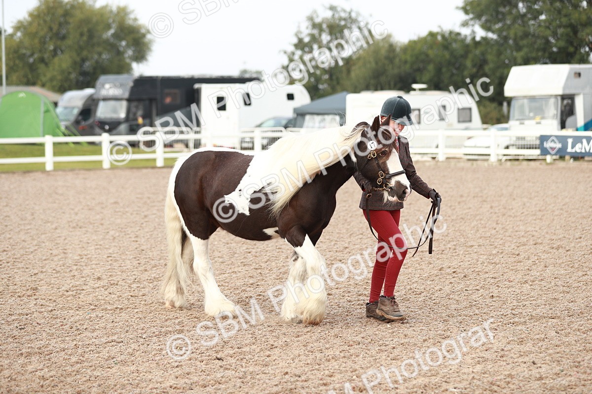 SBM_09467 - Class 201 Best Turned Out IH