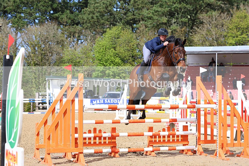 3E7A2209 - Class 8: Senior Foxhunter/1.20 open