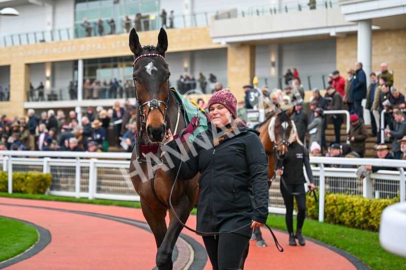 131224-Race 4-The Newest One-9698