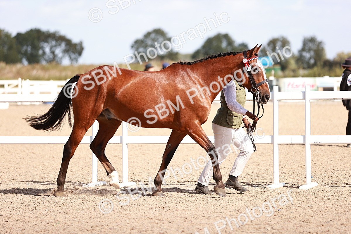 SBM_22969 - Class 707 - IH groom Helpers Class