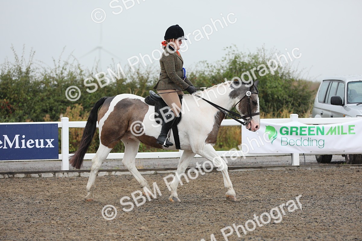 SBM_20654 - Class 804 - Ridden Veteran Pony