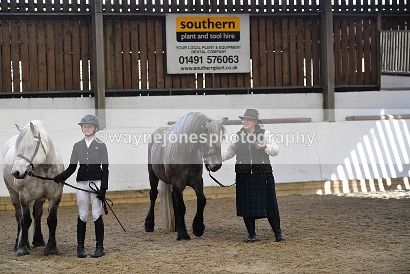 WJ5_4443 - Class 6 In hand M&M - Large Breeds