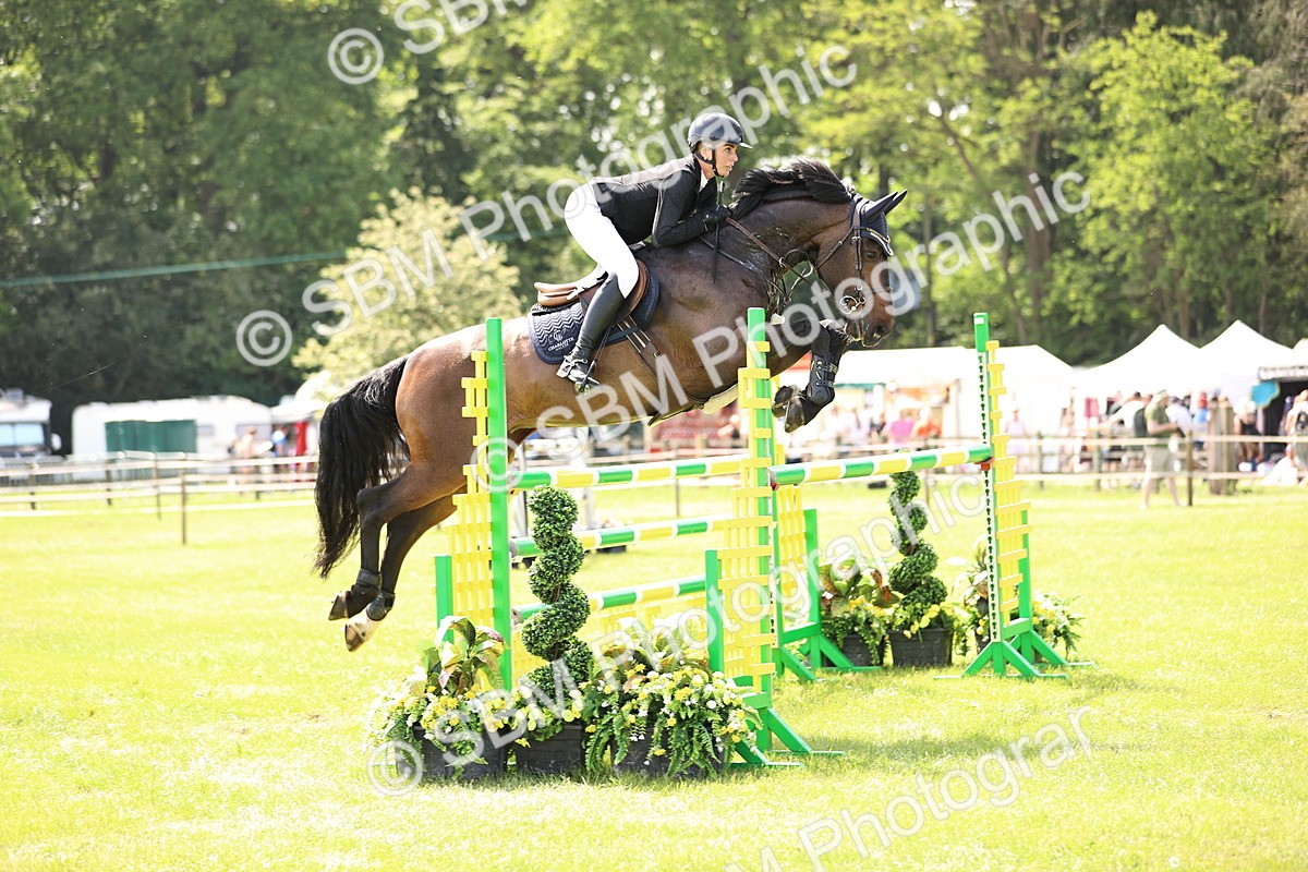 SBM_03214 - Class 201 - British Horse Feedds Speedi Beet HOYS Grade C
