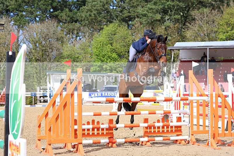 3E7A2208 - Class 8: Senior Foxhunter/1.20 open