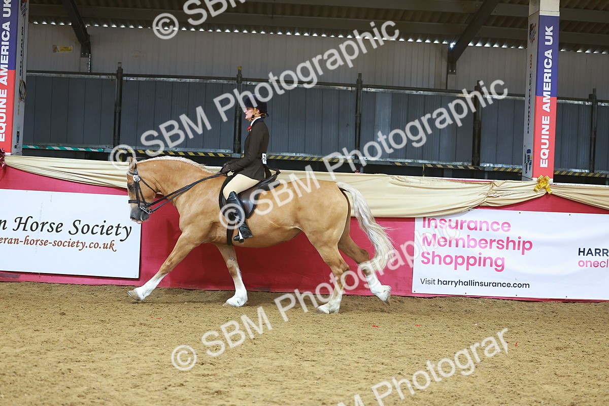 SBM_09443 - Class 102 - HOYS Veteran Qualifier - Ridden Veteran