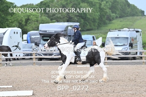 BPP_0272 - 31 E WYLLIE