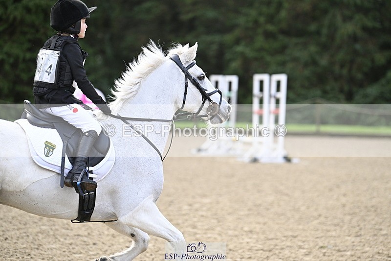 251005A-090508-02932 - Cls 02 GR 50cm