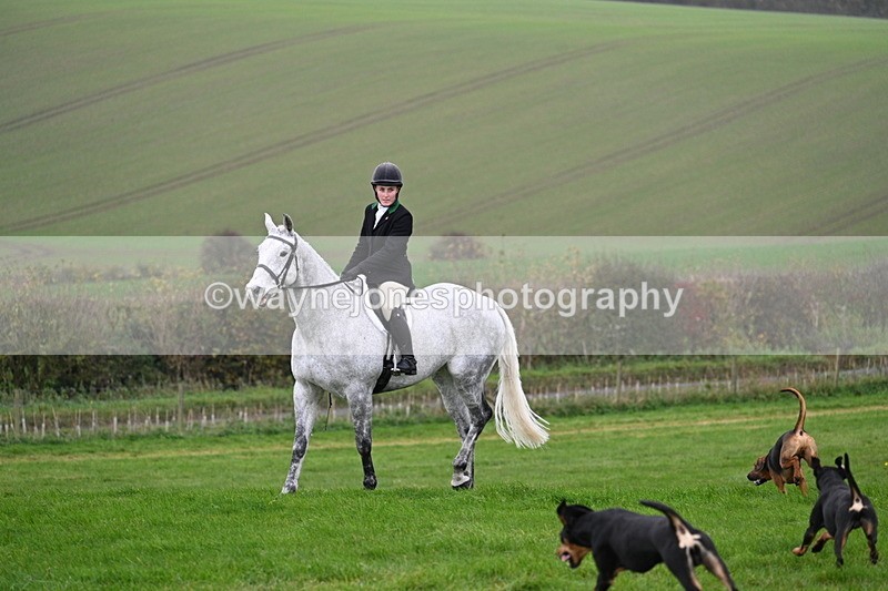 WJ7_8842 - Meet Staff & Hounds