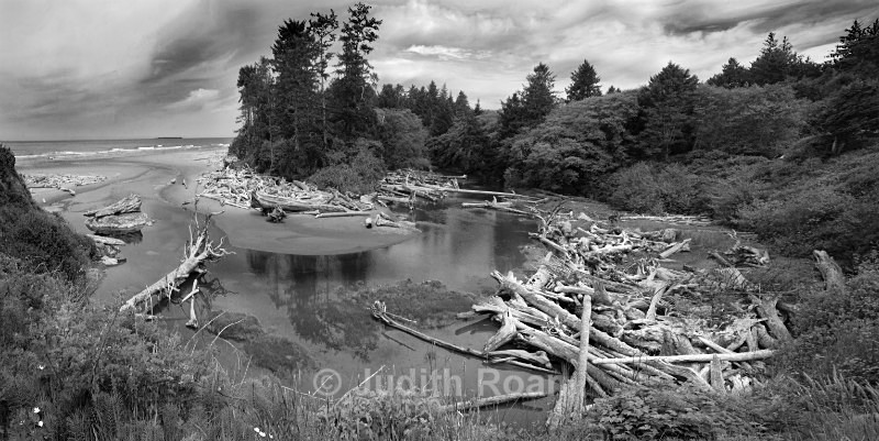 Kalaloch River - Pacific Northwest