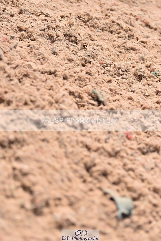 230531A-122030-00269 - Cls 4 Newcomers & 1.10m Open