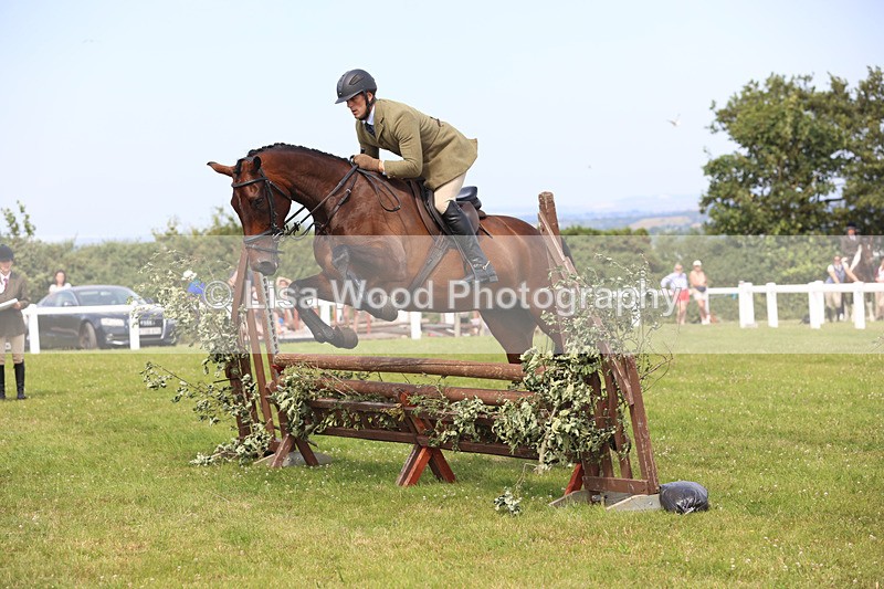 JPP_3772 - Class 23: Working Hunter 80cm