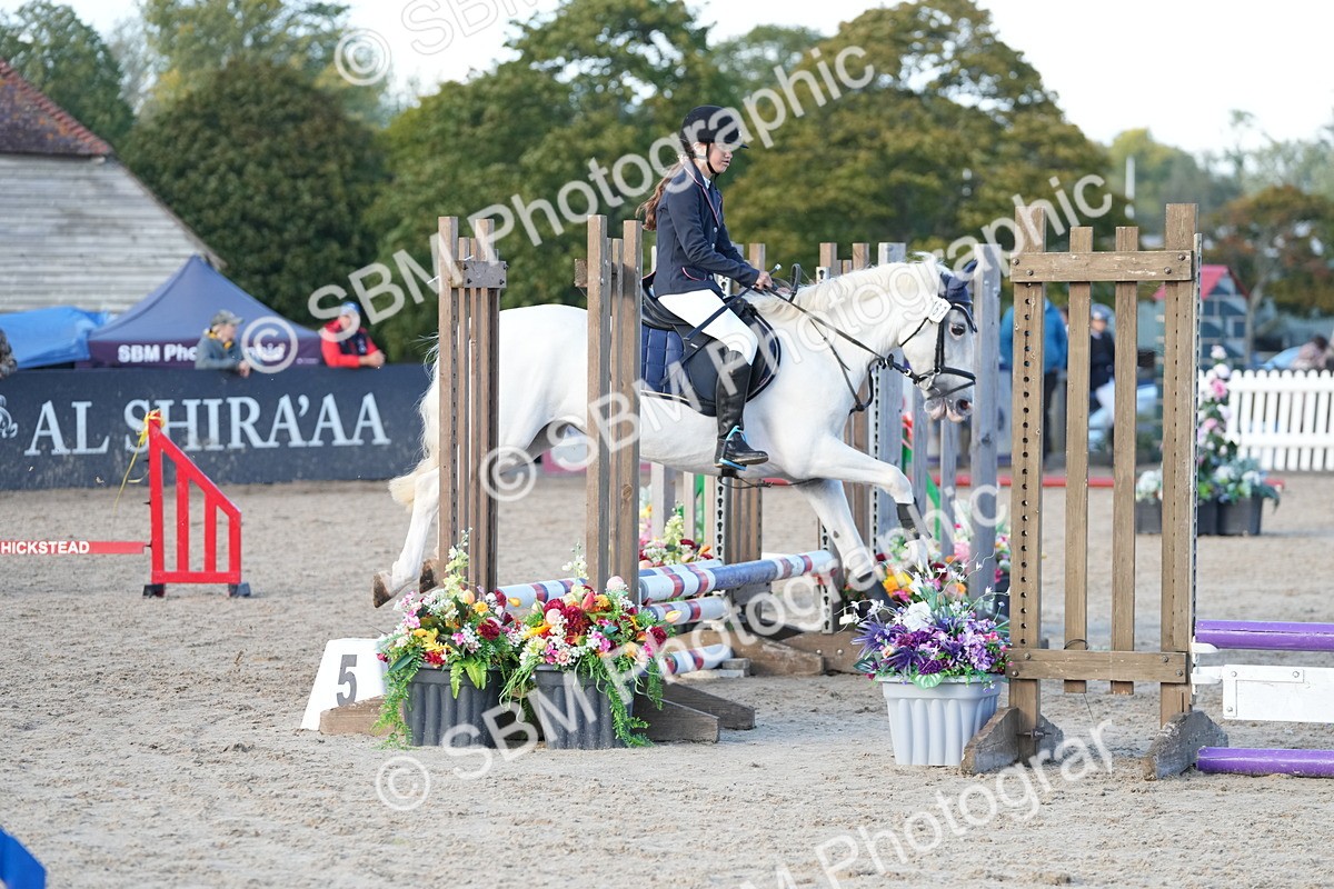 SBM_29083 - J43 - Horse & Hound Open 50cm