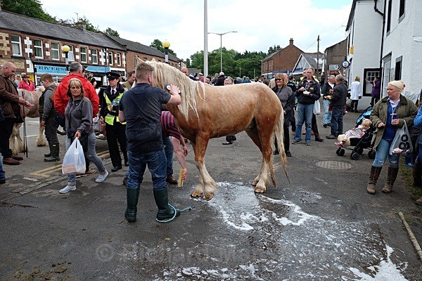  - Appleby Horse Fair