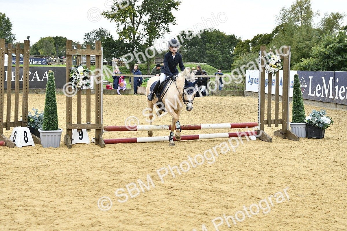 SBM_65512 - J2a mini Tour Junior Pony 30cm Championship