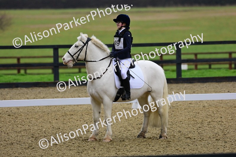 20260125-0590 - Class 9b - Walk Trot Unassisted