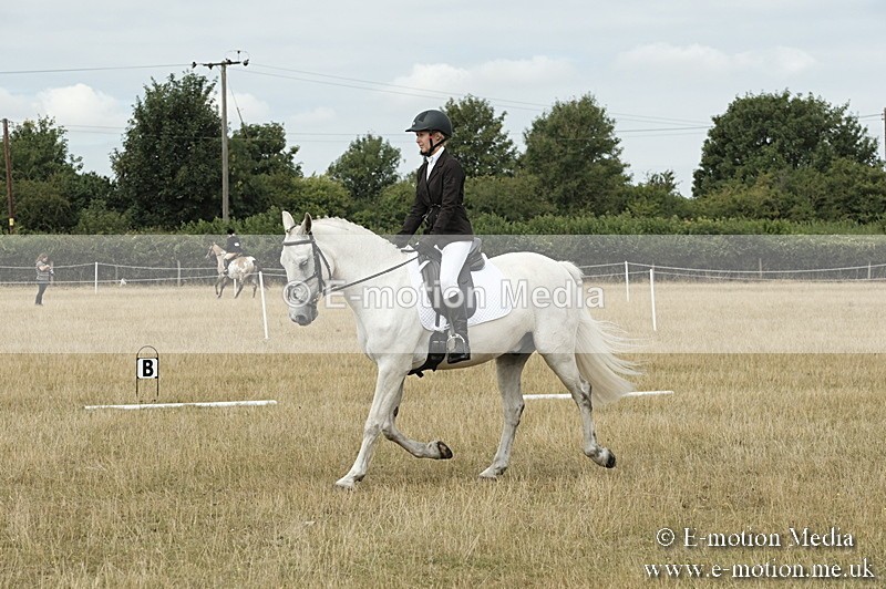 _PJP5765 - Dressage Classes BVRC Show 2018