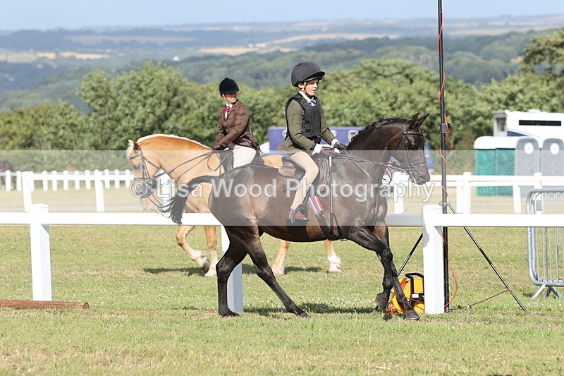 JPP_2903 - Class 20: Working Hunter 70cm