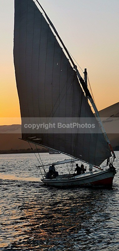 IMG_20241124_170311 - Egypt