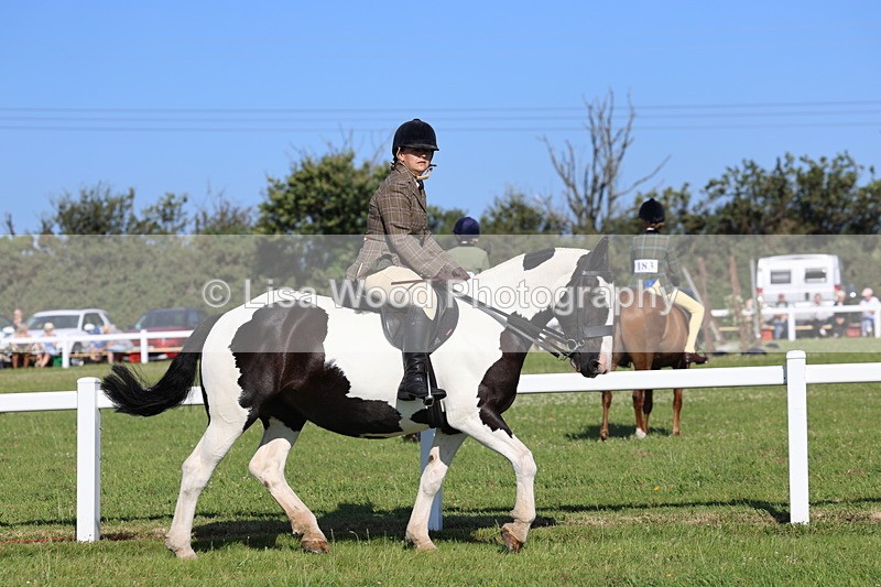 IMG_1477 - Class 30: Ridden Native/Trad Coloured Pony