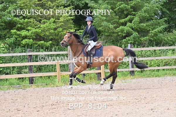 BPP_8104 - CLASS 11 SUN Senior BritiNovice/ 90cm Open