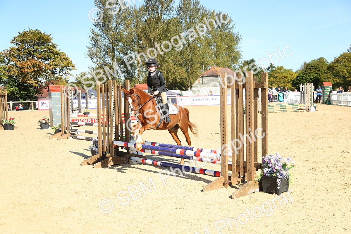 SBM_39324 - J6 - Junior Pony 55cm Championships