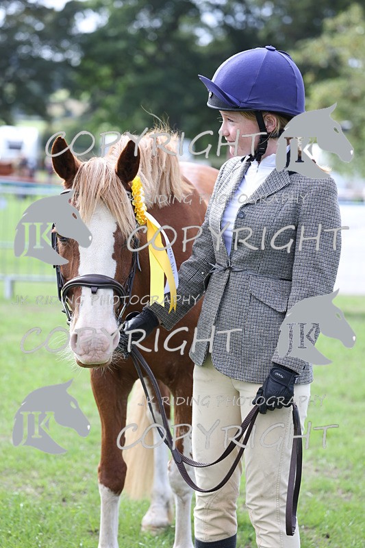 APP_2676 - Class 9 Veterans in hand