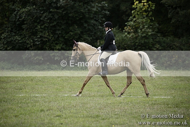 BVR080918 297 - BVRC Novice Dressage & CR 08/09/18
