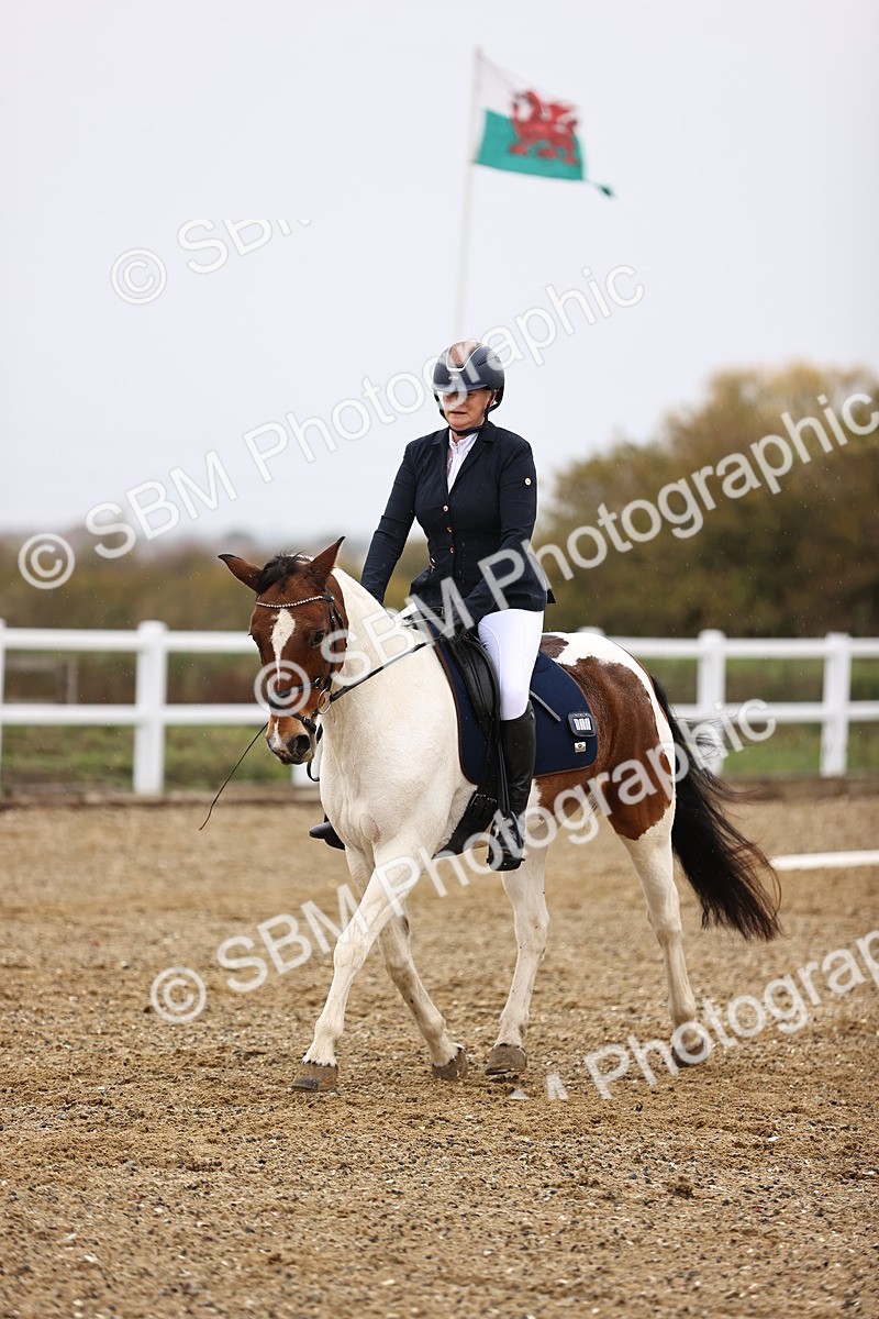 SBM_000794 - Novice 2