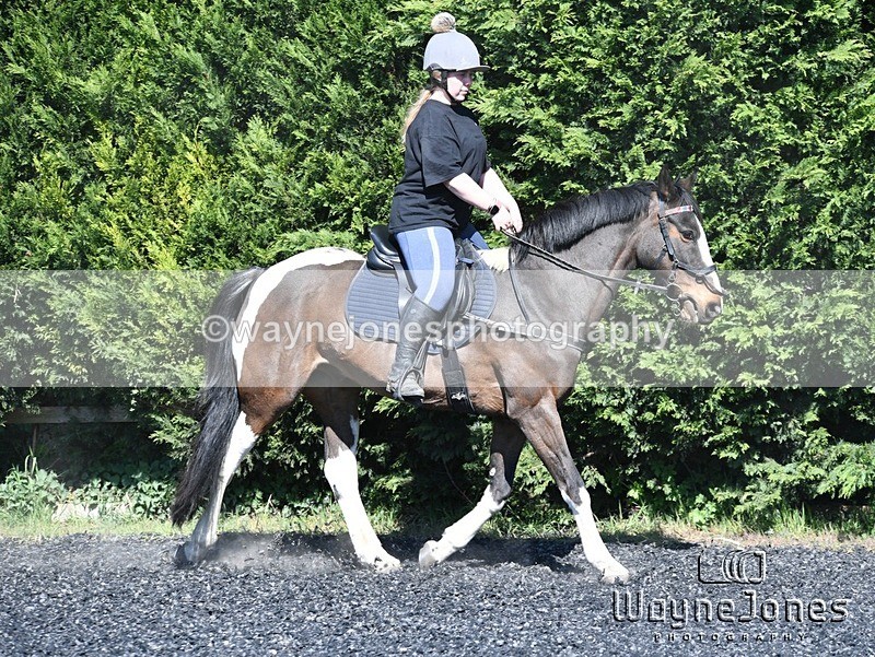 WJ5_1194 - Kelly Harris - Franklin balls, training at Tanners 05-04-25