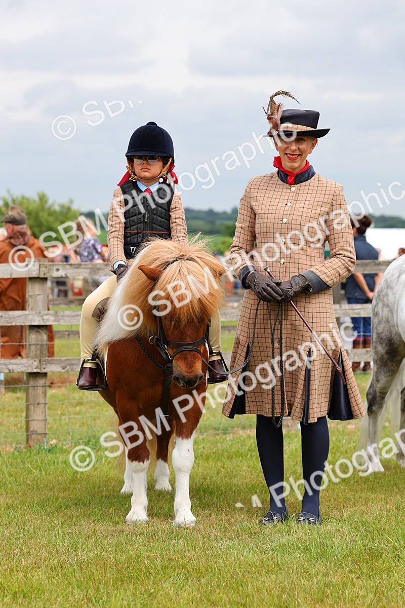 SBM_08312 - Class 42-43 - LIHS BSPS Heritage Working Sports Pony