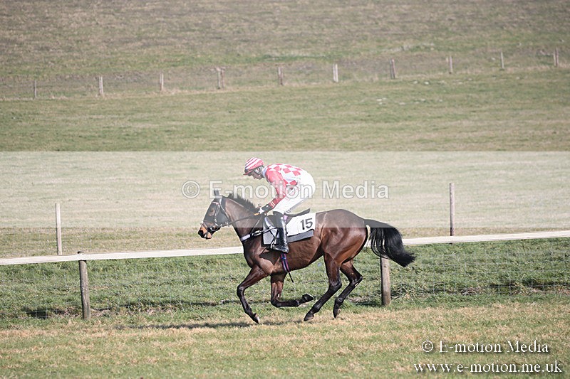 PtP 230219 143 - Vine & Craven Point-To-Point - Barbury 23/02/19