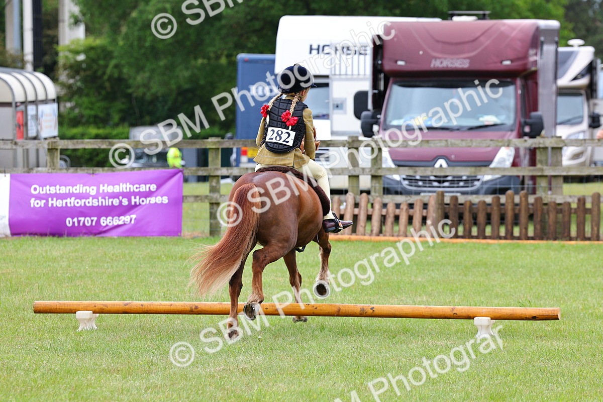 SBM_08635 - Class 42-43 - LIHS BSPS Heritage Working Sports Pony