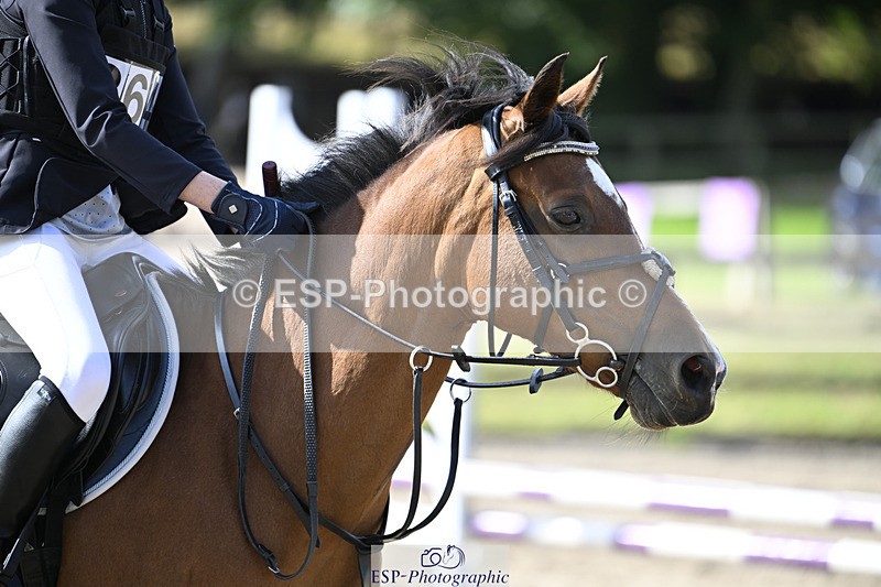 240823X-101101-15081 - 60cm R2 9.30 to 11.00