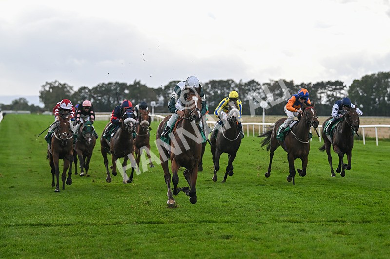 150925-Race 4-Hockney-2759 - Race 4